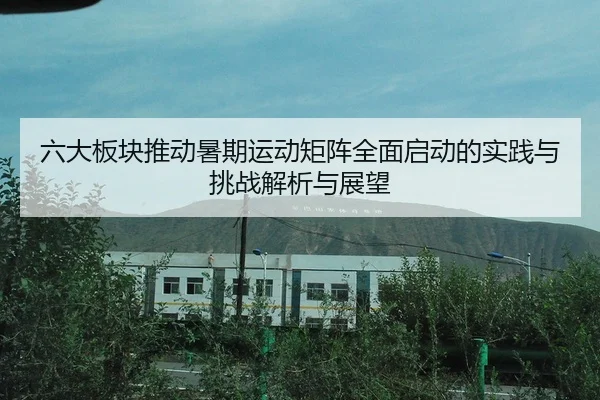 六大板块推动暑期运动矩阵全面启动的实践与挑战解析与展望